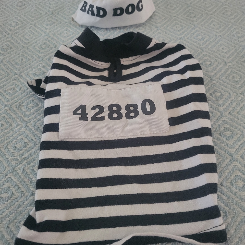 Pet Halloween costumes